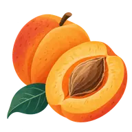 National Apricot Day