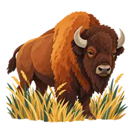 National Bison Day
