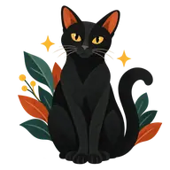 Black Cat Appreciation Day