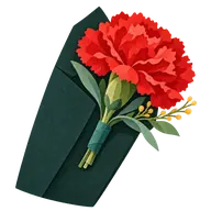 National Carnation Day