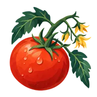 Fresh Tomato Day