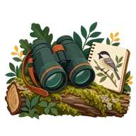 National Go Birding Day