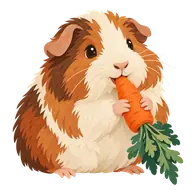 Guinea Pig Appreciation Day