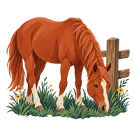 National Horse Protection Day