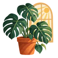 Houseplant Appreciation Day