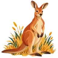 National Kangaroo Awareness Day