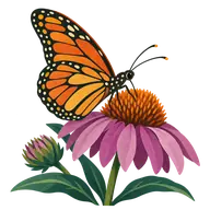 National Learn About Butterflies Day