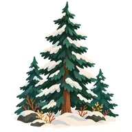 Look for an Evergreen Day