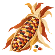 Maize Day