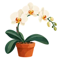 National Orchid Day