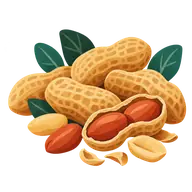 National Peanut Day