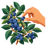 Pick Blueberries Day