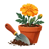National Plant a Flower Day