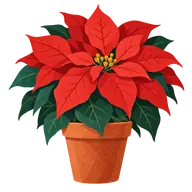 National Poinsettia Day