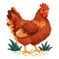 National Poultry Day