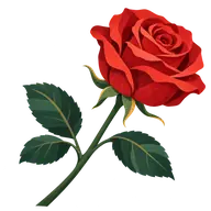National Red Rose Day