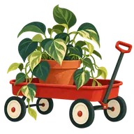 Take Your Houseplants for a Walk Day