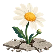 Upsy Daisy Day