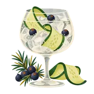 World Gin Day