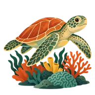 World Sea Turtle Day